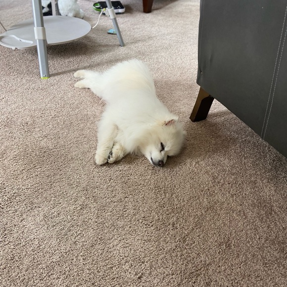 Meet your Posher, Patricia - Picture 9 of 13